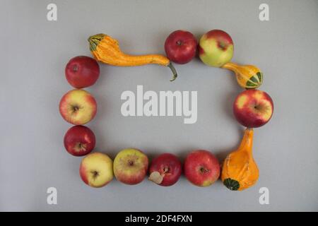 Kürbisse und Äpfel Rahmen auf grauem Hintergrund. Herbstkonzept. Das Bild enthält den Kopierbereich Stockfoto
