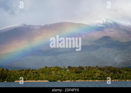 Regenbogen über dem See Rotoaira und Motuopuhi Island, mit Mount Tongariro in der Ferne, Tongariro National Park, North Island, Neuseeland Stockfoto