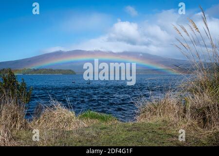 Regenbogen über dem See Rotoaira und Motuopuhi Island, mit Mount Tongariro in der Ferne, Tongariro National Park, North Island, Neuseeland Stockfoto