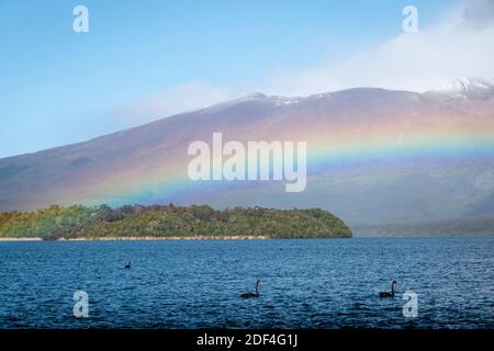 Regenbogen über dem See Rotoaira und Motuopuhi Island, mit Mount Tongariro in der Ferne, Tongariro National Park, North Island, Neuseeland Stockfoto