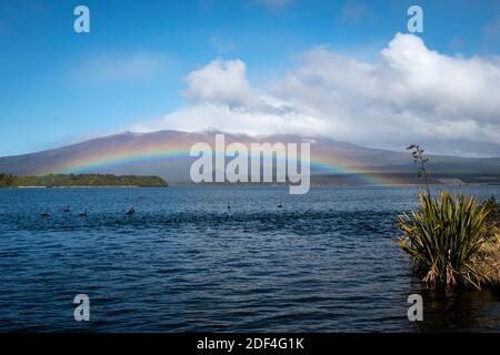 Regenbogen über dem See Rotoaira und Motuopuhi Island, mit Mount Tongariro in der Ferne, Tongariro National Park, North Island, Neuseeland Stockfoto