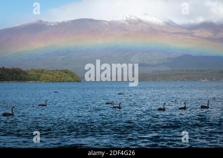 Regenbogen über dem See Rotoaira und Motuopuhi Island, mit Mount Tongariro in der Ferne, Tongariro National Park, North Island, Neuseeland Stockfoto