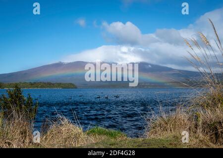 Regenbogen über dem See Rotoaira und Motuopuhi Island, mit Mount Tongariro in der Ferne, Tongariro National Park, North Island, Neuseeland Stockfoto