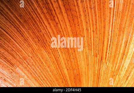 Foto Makro Textur der Holzbewegung Stockfoto