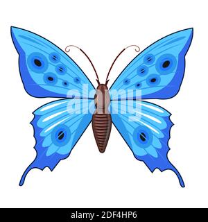 Blauer Schmetterling. Helle schöne Komposition. Isoliertes Objekt auf Weiß. Stockfoto