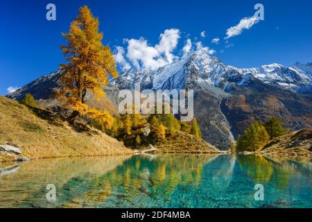 Geographie / Reisen, Schweiz, Lac Bleu, Dent de Perroc, Wallis, Additional-Rights-Clearance-Info-Not-Available Stockfoto