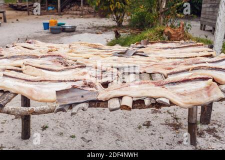 Trocknender Fisch in der Sonne auf dem kleinen Dorf in Masoala, Madagaskar. Stockfoto