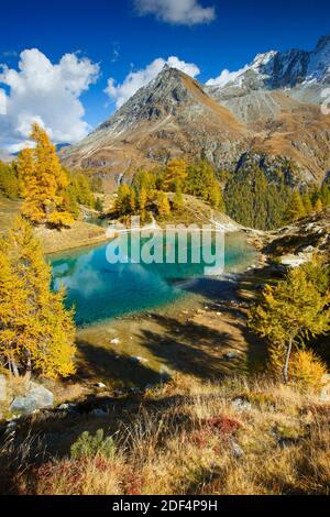 Geographie / Reisen, Schweiz, Lac Bleu, magnifico Dent de Veisivi, Wallis, Additional-Rights-Clearance-Info-not-available Stockfoto