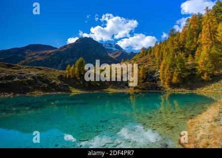 Geographie / Reisen, Schweiz, Lac Bleu, Wallis, Additional-Rights-Clearance-Info-not-available Stockfoto