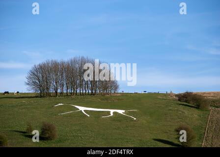 Das Hackpen White Horse auf den Marlborough Downs in Wiltshire, Großbritannien Stockfoto