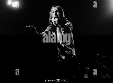 Todd Rundgren mit Utopia auf der Bühne im Haguer, Niederlande, 12. Oktober 1975. (Foto von Gijsbert Hanekriot) Stockfoto