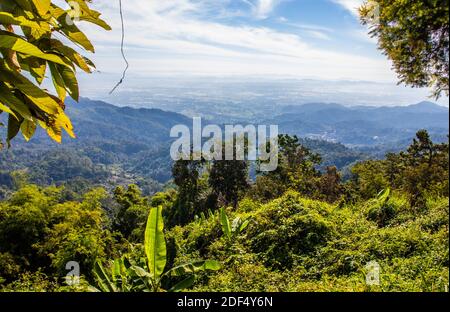 Doi Tung in der Provinz Chiang Rai Nord Thailand Stockfoto