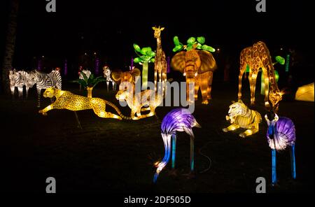 Tallinn, Harjumaa- Estland-21DEC2019: Das Wanderfestival des Lichts in der Gegend von Tallinn Lauluväljak im Winter 2019. Viele Seide Skulpturen beleuchtet. Stockfoto