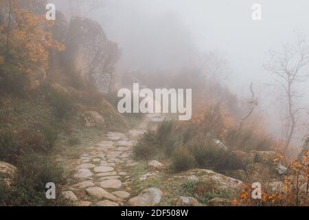 Ein ländlicher Steinweg, der in Nebel gehüllt ist, in der Nähe von Montanchez, Spanien Stockfoto