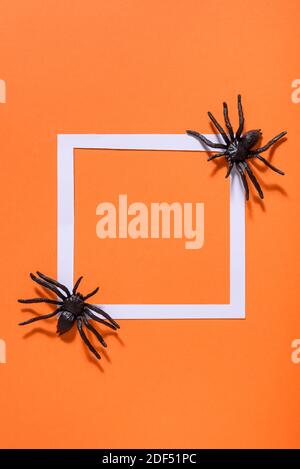Leerer weißer Rahmen mit gruseliger schwarzer Spinne auf orangefarbenem Papier. Halloween Hintergrund Layout. Minimalistisches, flaches Lay-Design. Stockfoto