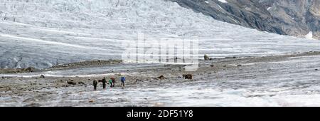 Geographie / Reisen, Schweiz, Wallis, Bergsteigerparty am berühmten Aletschgletscher, im wi, Additional-Rights-Clearance-Info-not-available Stockfoto