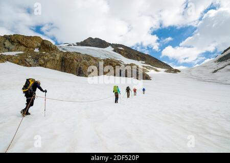 Geographie / Reisen, Schweiz, Wallis, Bergsteigerparty auf dem Grüneggfirngletscher, Bergsteigen, Additional-Rights-Clearance-Info-not-available Stockfoto