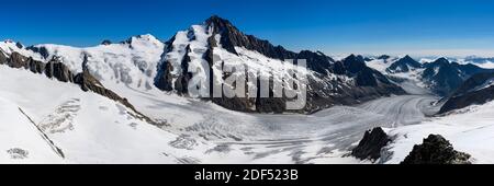 Geographie / Reisen, Schweiz, Wallis, Finsteraarhorn (4274m) dominiert das beeindruckende Fiescher gla, Additional-Rights-Clearance-Info-not-available Stockfoto