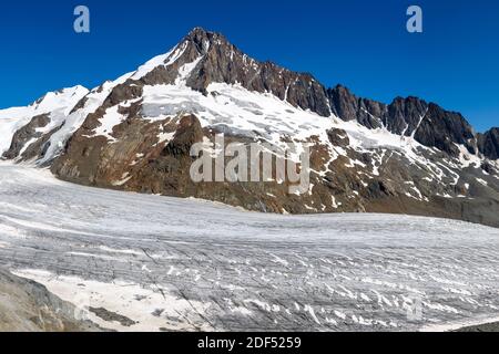 Geographie / Reisen, Schweiz, Wallis, Finsteraarhorn (4274m) dominiert das beeindruckende Fiescher gla, Additional-Rights-Clearance-Info-not-available Stockfoto