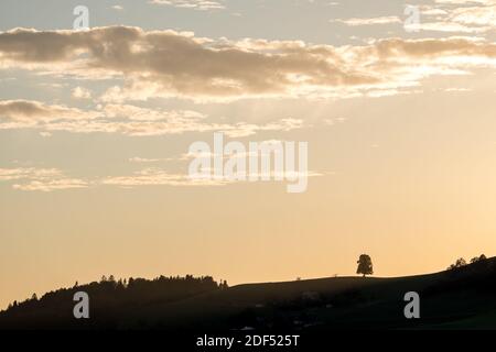 Silhouette von Baum und Hügel mit spektakulären Sonneneinstrahlungen Wolke in Ein blauer Himmel Stockfoto