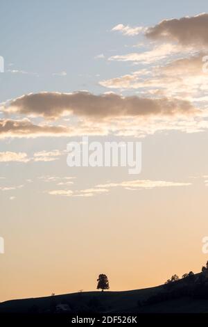 Silhouette von Baum und Hügel mit spektakulären Sonneneinstrahlungen Wolke in Ein blauer Himmel Stockfoto