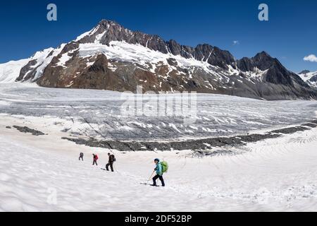 Geographie / Reisen, Schweiz, Wallis, Bergsteigerfest mit dem Finsteraarhorn (4274m) im , Additional-Rights-Clearance-Info-not-available Stockfoto