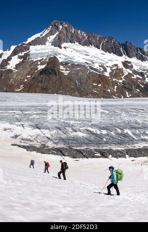 Geographie / Reisen, Schweiz, Wallis, Bergsteigerfest mit dem Finsteraarhorn (4274m) im , Additional-Rights-Clearance-Info-not-available Stockfoto