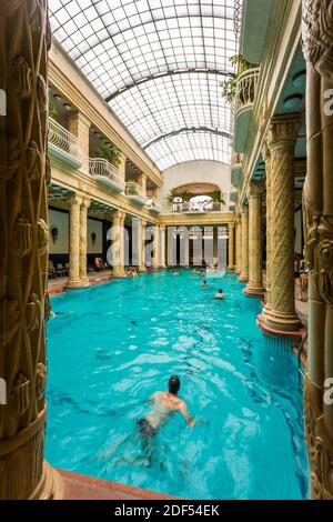 Badeurlauber in Gellért Thermalbad, Budapest, Ungarn, Europa Stockfoto