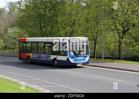 Stagecoach Busse als Kilmarnock, East Ayrshire, Schottland, Großbritannien Stockfoto