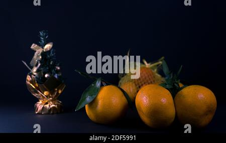Weihnachtsfoto mit einem festlichen Baum und Mandarinen auf einem Dunkler Hintergrund Stockfoto