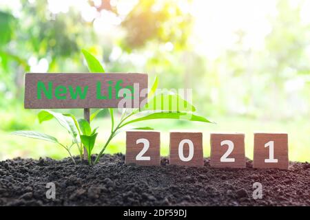 2021 neues Jahr neues Leben Konzept. Jahr 2021 in Holzblöcken auf natürlichem Hintergrund bei Sonnenaufgang. Stockfoto