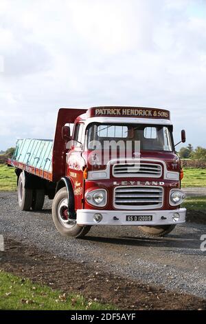 1965 Leyland Beaver Stockfoto