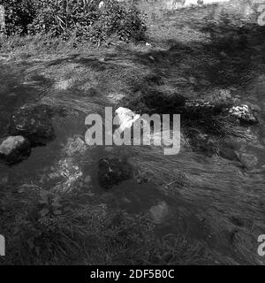 Der Fluss fließt durch Lathkill Lathkill Dale unten Über Haddon in der Derbyshire Dales UK Stockfoto