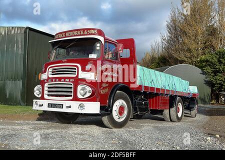 1965 Leyland Beaver Stockfoto