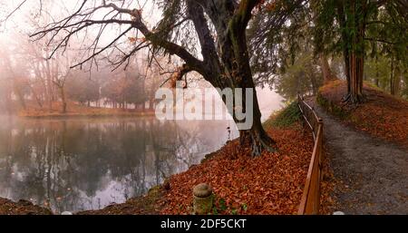 Bäume und Laub spiegeln sich auf einem Waldteich im Park von Monza. Dezember nebliger Tag, Lombardei, Italien Stockfoto