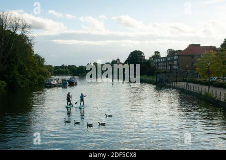 Paddelboarder auf der Themse Twickenham Middlesex Stockfoto