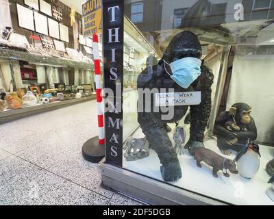 Sheerness, Kent, Großbritannien. Dezember 2020. Sheerness High Street in der Gemeinde Swale - Englands höchstgelegene Infektionsrate. Ein Gorilla, der Covid Rat bei Gemini Jewelers in Sheerness gibt. Kredit: James Bell/Alamy Live Nachrichten Stockfoto