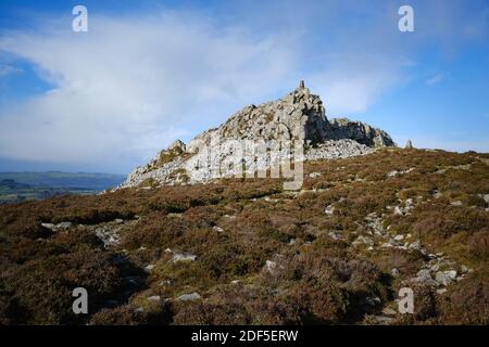 Manstone Rock auf Stiperstones, Shropshire, Großbritannien Stockfoto