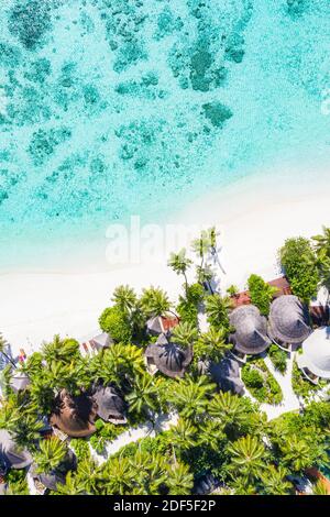 Luftaufnahme des wunderschönen tropischen Strandes der Malediven. Tolle Aussicht, blautürkisfarbenes Lagunenwasser, Palmen und weißer Sandstrand. Luxusreisen Stockfoto