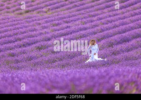 Schöne junge Frau läuft in einem Lavendelfeld. Stockfoto