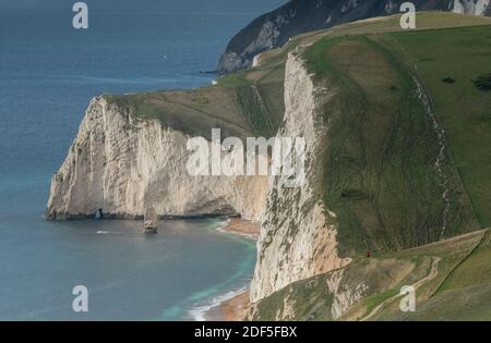 Kreidefelsen und -Abfahrten westlich von Lulworth, mit Blick auf Swyre Head. Jurassic Coast, Dorset. Stockfoto