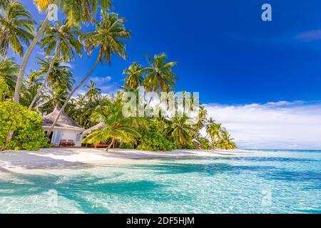 Erstaunlicher Naturstrand mit Palmen und launischen Himmel. Sommerurlaub Reise Urlaub Hintergrund Konzept. Malediven paradiesischer Strand. Luxusreisen im Sommer Stockfoto