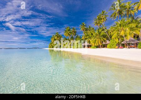 Erstaunlicher Naturstrand mit Palmen und launischen Himmel. Sommerurlaub Reise Urlaub Hintergrund Konzept. Malediven paradiesischer Strand. Luxusreisen im Sommer