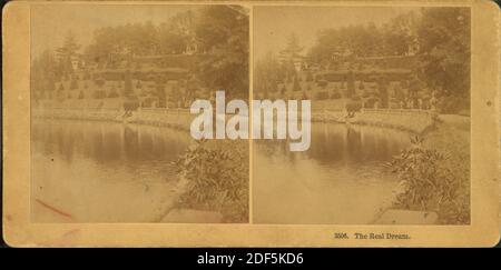 Der wahre Traum., Standbild, Stereographien, 1850 - 1930, Kilburn Brothers Stockfoto