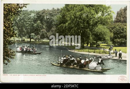 Public Gardens, The Swan Boats, Boston, Mass., Standbild, Postkarten, 1898 - 1931 Stockfoto