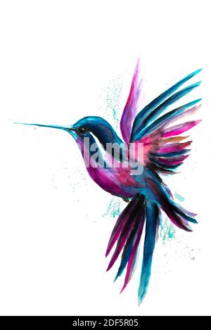 Aquarell Kolibri fliegen und isoliert auf weißem Hintergrund. Regenbogenvogel. Tropische colibri Aquarell Illustration. Stockfoto