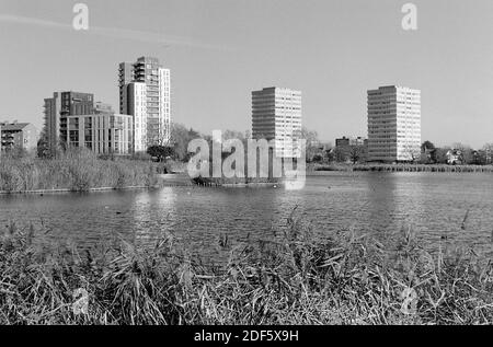 East Reservoir in Woodberry Wetlands, in der Nähe von Stoke Newington, North London, Großbritannien, mit Turmblöcken im Hintergrund Stockfoto