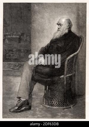 Englischer Naturforscher, Charles Darwin (1809-1882), Porträtstich von Thomas Johnson, vor 1901 Stockfoto