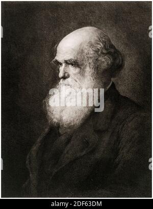 Charles Darwin (1809-1882), englischer Naturforscher, Geologe und Biologe, Porträtstich von G Mercier nach WW Ouless, um 1890 Stockfoto