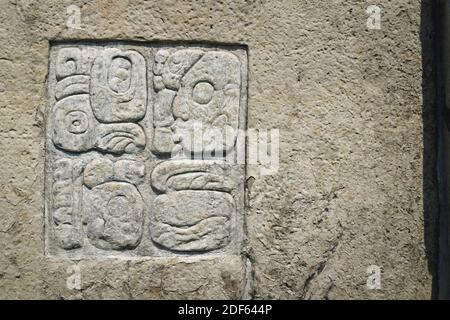 Basrelief-Schnitzerei der Maya-Zeichen an der Palastmauer an der archäologischen Stätte von Palenque, Chiapas, Mexiko Stockfoto